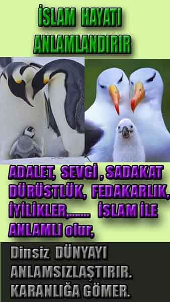 allahin varliginin delilleri, allahin delilleri, allah-delilleri, allah delil, allah var delilleri