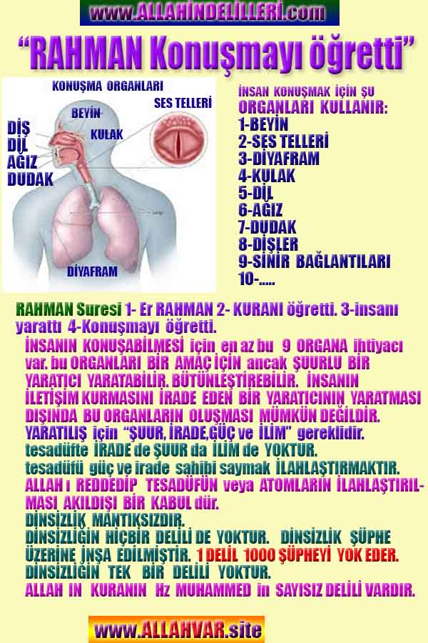 allahin varliginin delilleri, allahin delilleri, allah-delilleri, allah delil, allah var delilleri