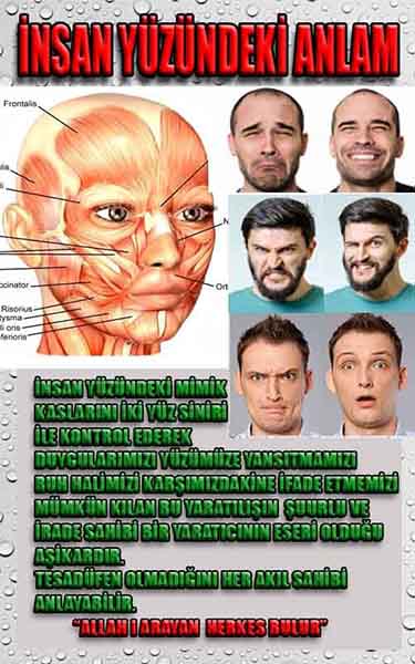 allahin varliginin delilleri, allahin delilleri, allah-delilleri, allah delil, allah var delilleri